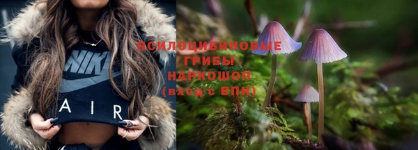 а пвп мука Армянск