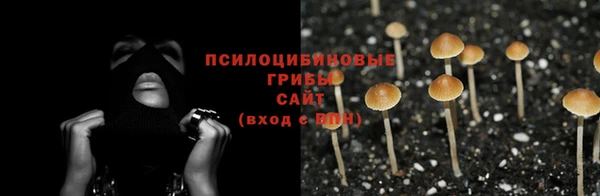 мет Арсеньев